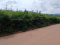 Prime 2000 SQM Industrial Plot for Sale in Rusororo